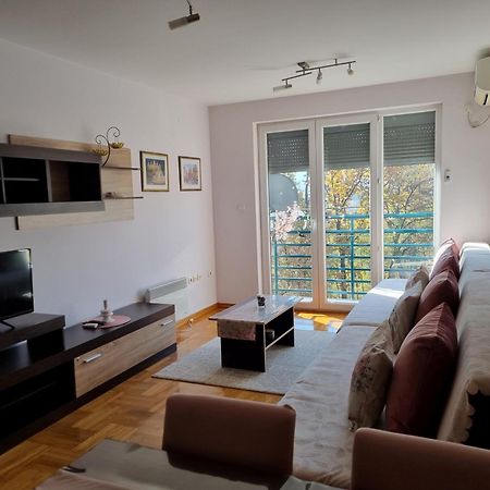 Studio Apartman Zvezdana Noc Vrnjacka Banja Exterior photo