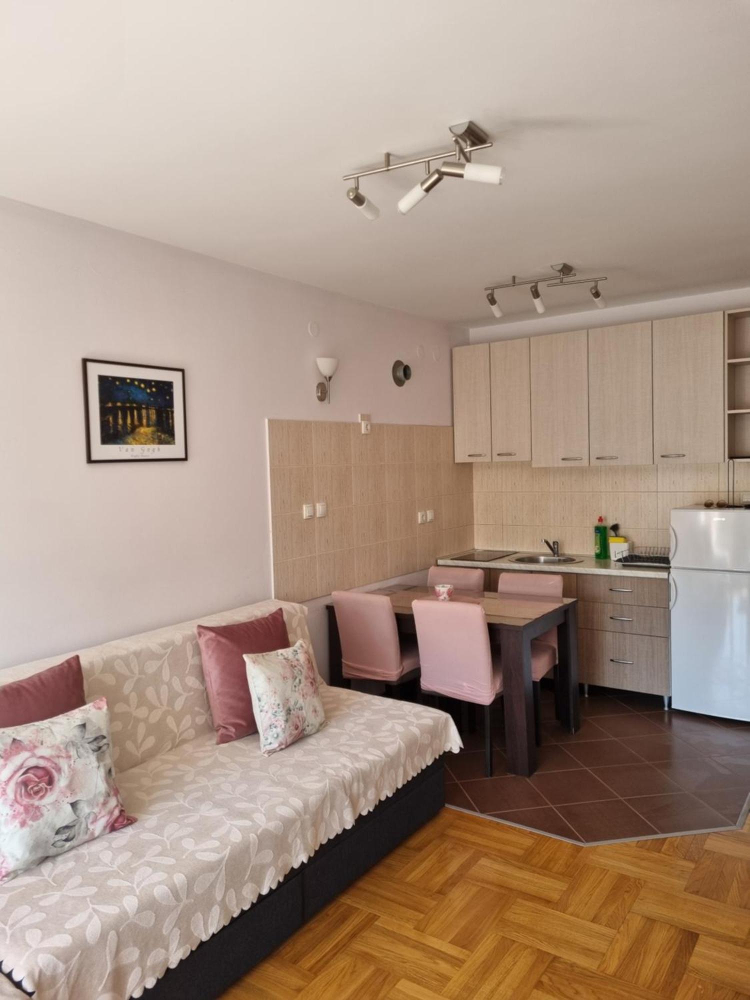 Studio Apartman Zvezdana Noc Vrnjacka Banja Exterior photo